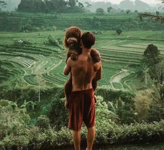 Magic Hills Bali - Magical Eco-luxury Villa Selat
