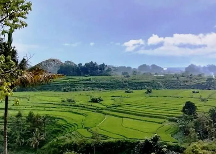 Magic Hills Bali - Magical Eco-luxury *